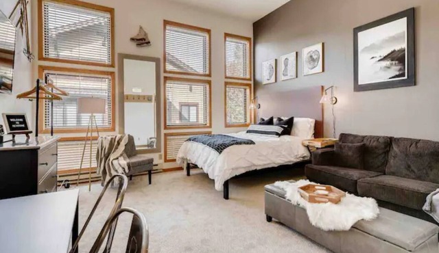 Cozy Ski in/Ski out studio steps from the lift!