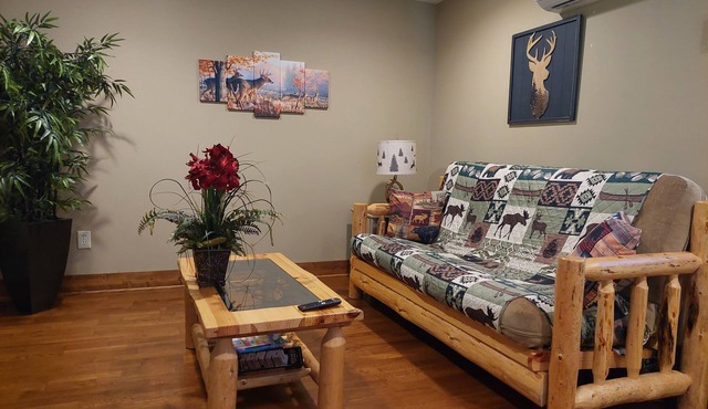 Cozy ski retreat, close to Appalachian ski mountain in blowing rock and boone