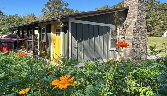 Cozy Smoky Mtn Cabin Dragon, Cades Cove, Tellico