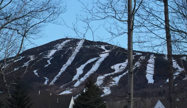 Cozy Snowbrook 4 BR Condo - Ski in - Ski out