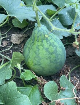 Cozy space in quiet neighborhood