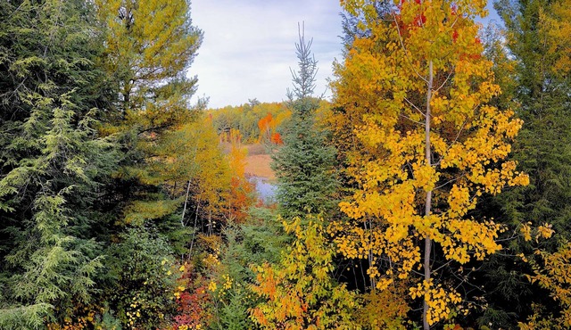 Cozy, spacious cabin. Great for fishing & snowmobiling!