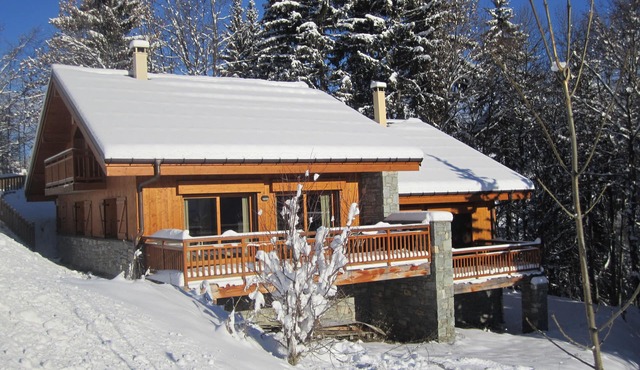 Cozy, Spacious Chalet with Sauna and Fireplace