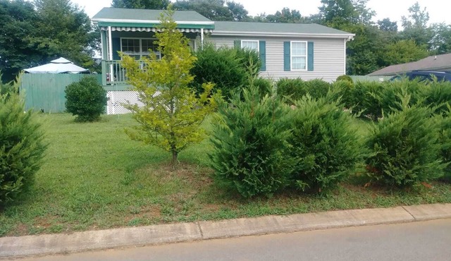 Cozy & Spacious near Lee Univ