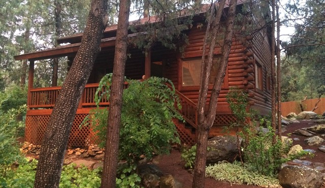 Cozy streamfront cabin nestled in the pines