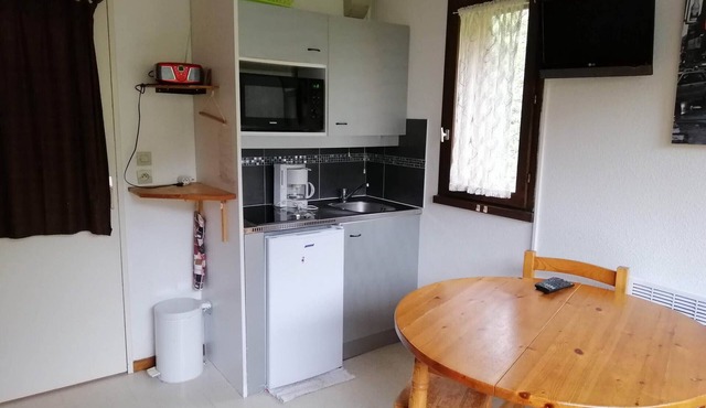 Cozy studio cabin with balcony and pets allowed