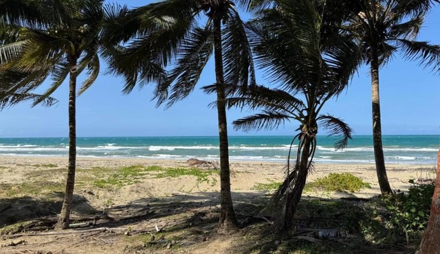 Cozy Studio Apartment 2 min to the Beach, Rooftop