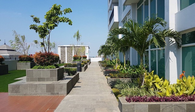 Cozy Studio Apartment at Tree Park City