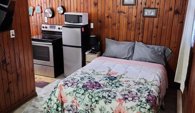 Cozy studio apartment near downtown Mahomet