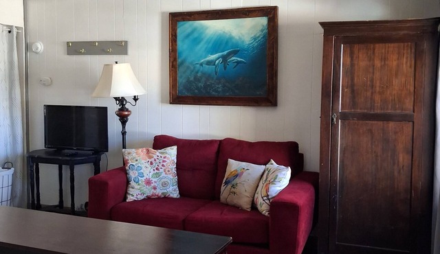 Cozy studio apt.in the heart of town