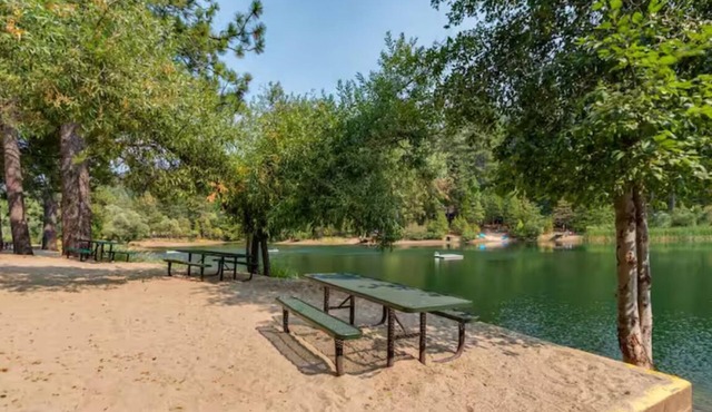 Cozy studio cabin in Arnold California with WiFi, AC