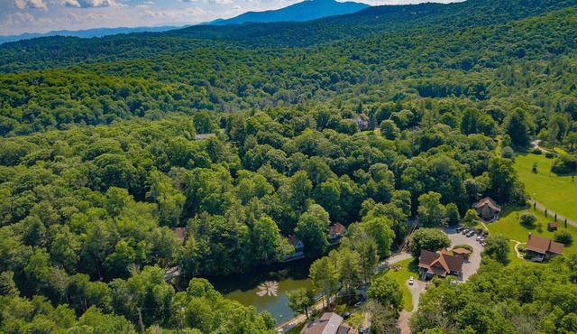 Cozy Studio Cabin #40 - Sleeps 4 - Full kitchen + fireplace - between Boone & Blowing Rock NC