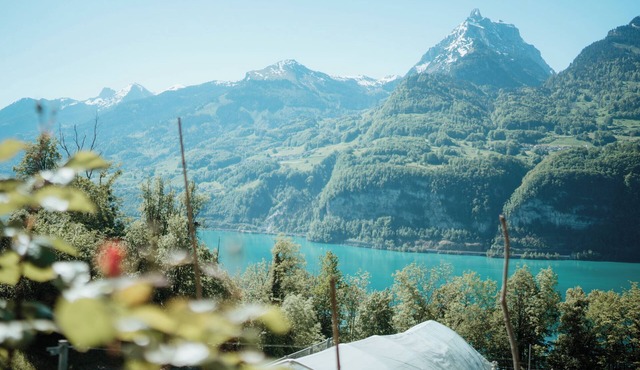 "Cozy Studio in Amden: Your Perfect Getaway in the Swiss Mountains!"