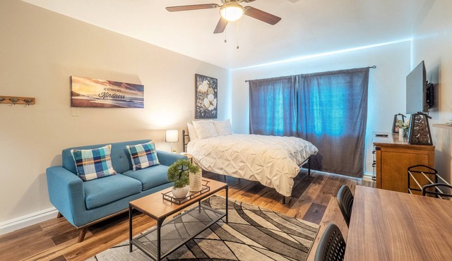 Cozy Studio in Carmichael w/Netflix, Disney+