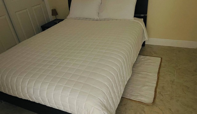 Cozy studio in charming Tampa with WiFi, AC