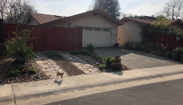 Cozy studio in Davis for you and your pet