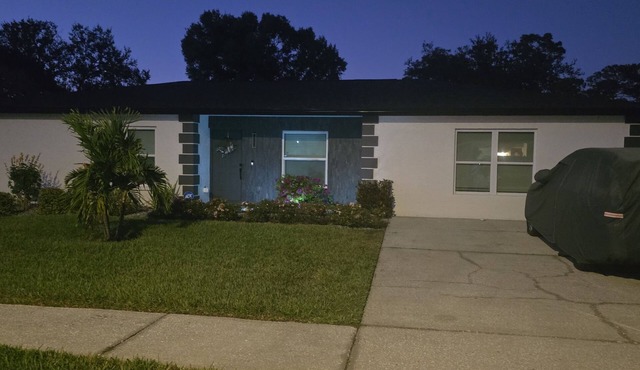 Cozy studio in peaceful Valrico with refreshing AC. Fully remodeled in 2024.