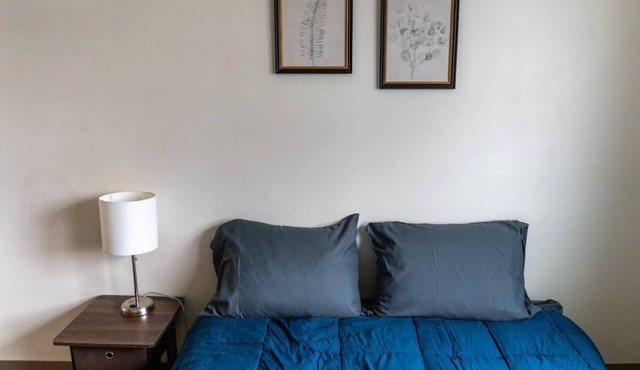 Cozy Studio Near NDSU (Apt 5)