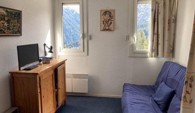 Cozy studio near slopes, pets welcome