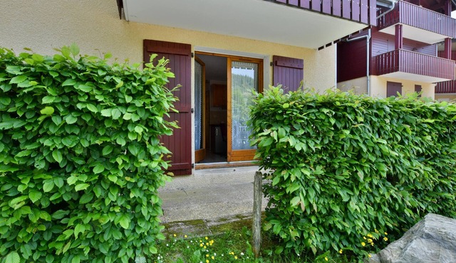 Cozy studio near the slopes in Bernex