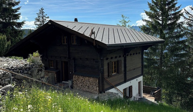 Cozy studio on the Axalp with a view of Lake Brienz