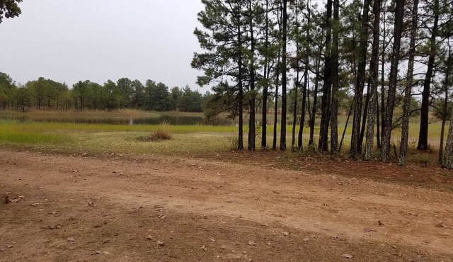 Cozy studio pet friendly cabin- private lake - fishing & swim - Cowgirl Cabin