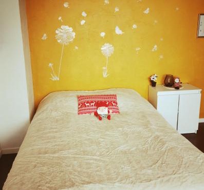 Cozy Studio Strasbourg
