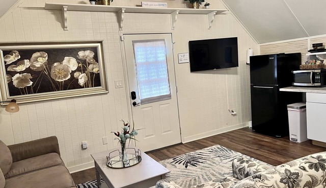 cozy studio