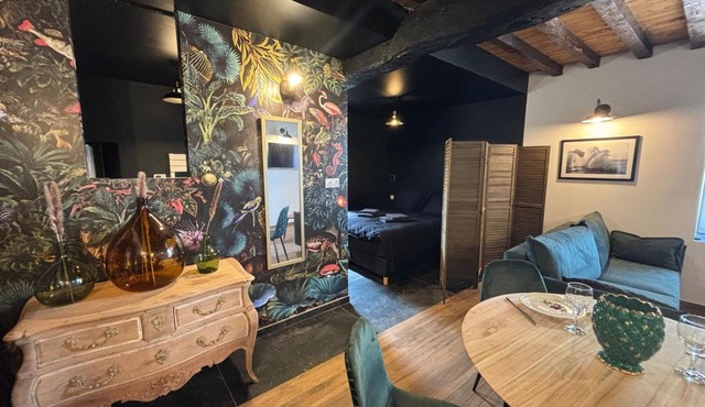 Cozy studio with garden and spa in Montaigu-le-Blin