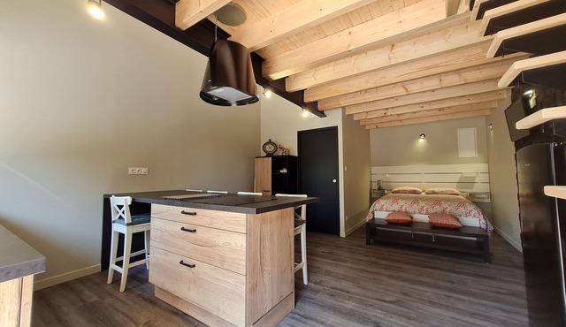 Cozy Studio with Mezzanine, Private Courtyard, Wifi, Near Owners' Home in Renovated Barn