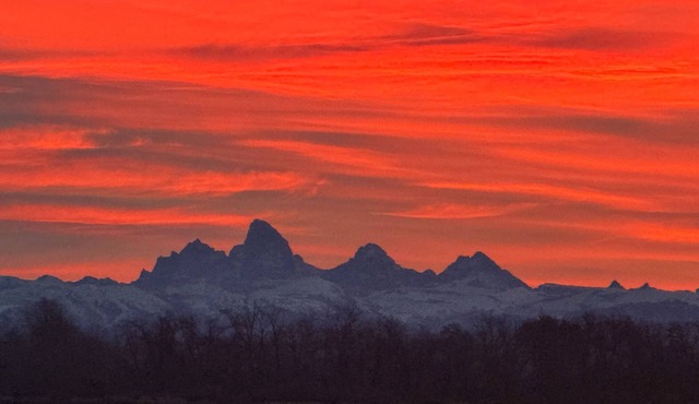 Cozy Studio with Mountain Views + On-Site Nano Brewery Near Yellowstone & Tetons