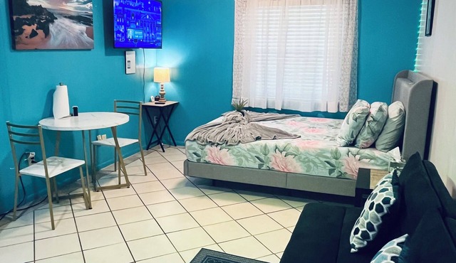 Cozy studio with WiFi and AC and in lovely Lutz! its family and pet friendly.