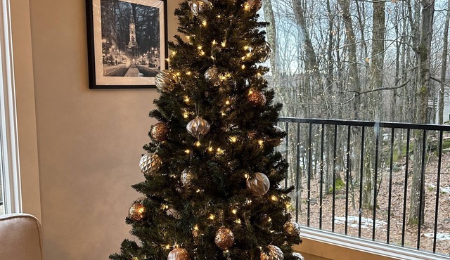 Cozy, stylish 4-season chalet with private beach access and walk to skiing!