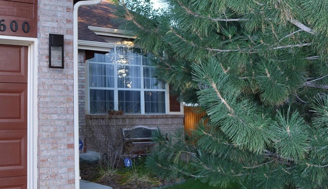 Cozy & Stylish Walkout Basement Apartment