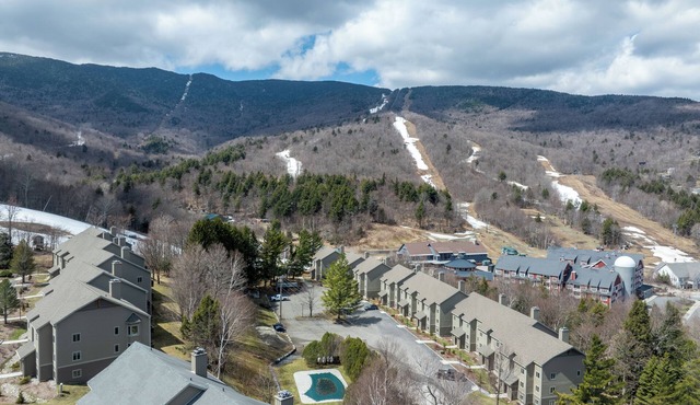 Cozy Sugarbush condo w/ski-in/ski-out