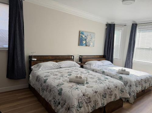 Cozy suite near UC Berkeley, Emeryville bay st