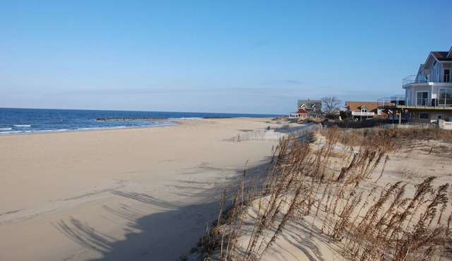 Cozy Suite - Pet friendly, Beach Side by RedAwning
