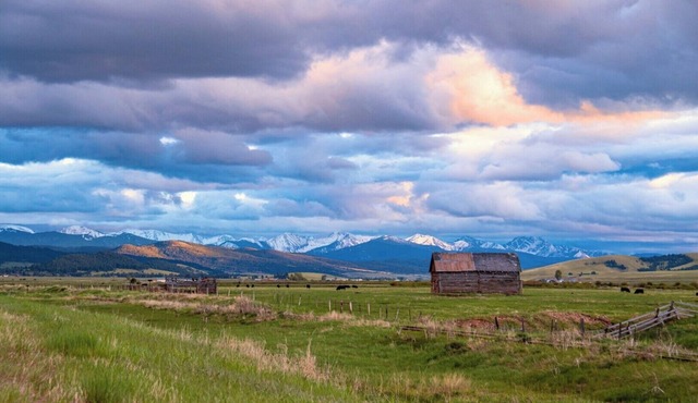 Cozy suites near downtown Iowa City and UI