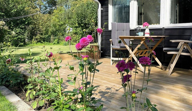 Cozy summer cottage on picturesque Askø