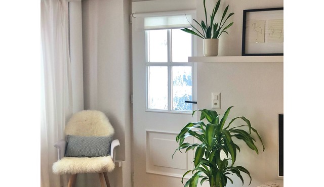 Cozy Swiss apartment