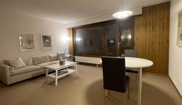 Cozy Swiss Mountain 1 BDRM Apartment - 10 minutes from Lake Geneva
