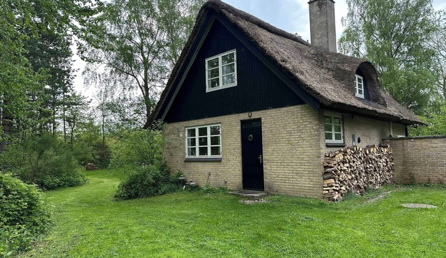 Cozy, thatched cottage with modern décor