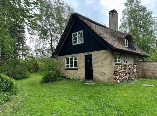 Cozy Thatched Cottage With Modern Décor