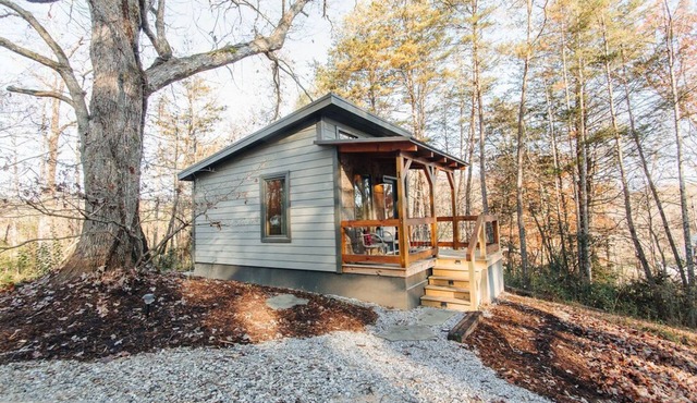 Cozy tiny cabin in the woods- Unit #1