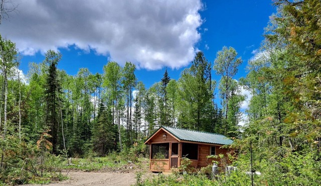 Cozy Tiny Cabin - Off-Grid Experience with Sled Dogs Year 'round in Minnesota