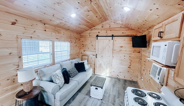 Cozy tiny cabin in Petros -Windrock