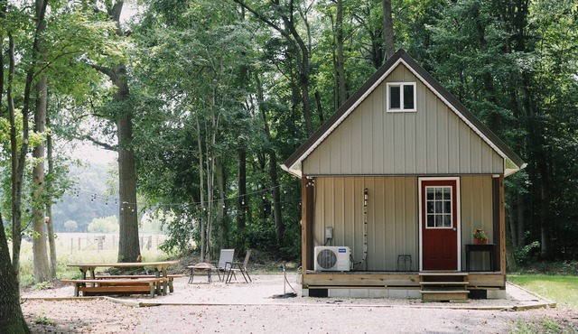 Cozy tiny cabin with sunrise view! Short drive to beaches and turf.