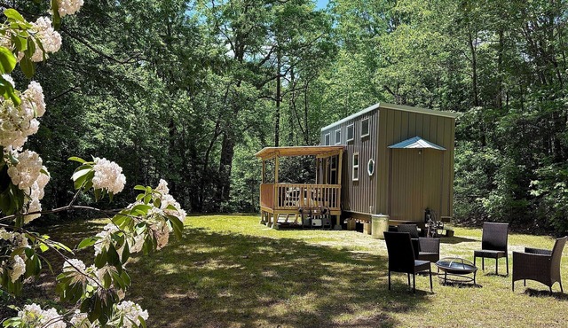 Cozy Tiny House minutes from Pisgah and DuPont