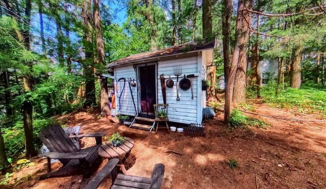 Cozy Tiny House Perfect for Fishing and Water Sports on Brantingham Lake, NY