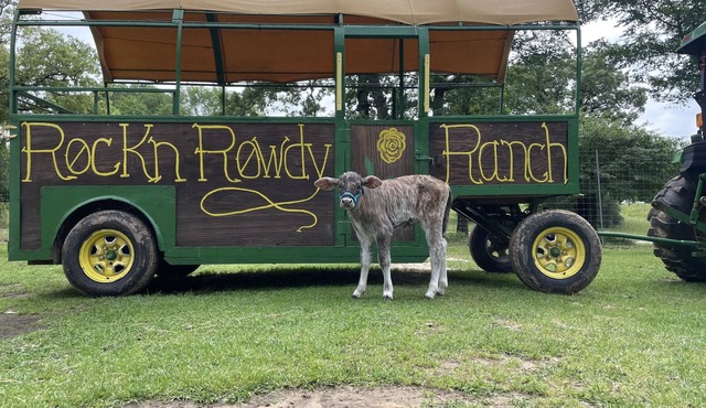Cozy Tiny House: Your perfect ranch getaway!
